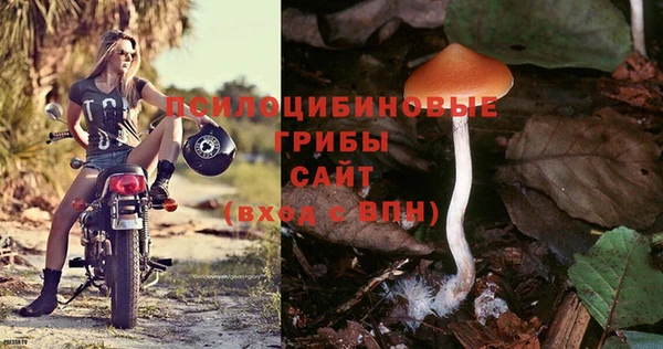 соль ск Балахна