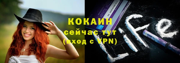 спайс Баксан