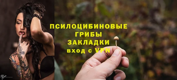 соль ск Балахна