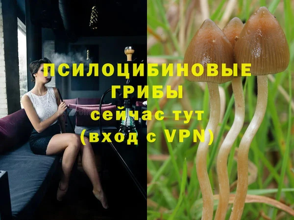соль ск Балахна