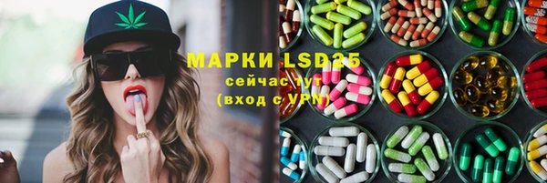 спайс Баксан