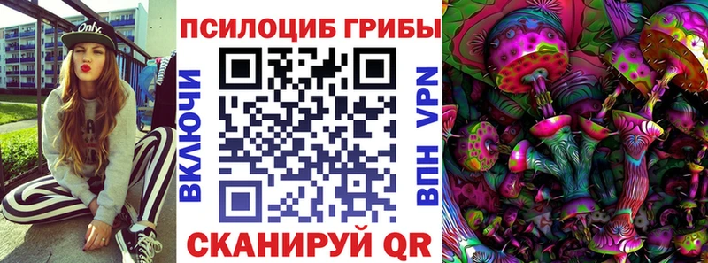 omg маркетплейс  Ликино-Дулёво  Псилоцибиновые грибы прущие грибы 